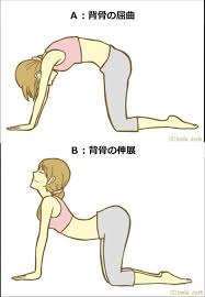 cat back exercise